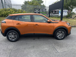 
										Peugeot 2008 1.5 BlueHDi Active full									