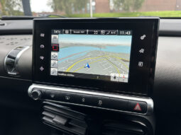 
										Citroen C4 Cactus 1.6 BlueHDi Flair full									